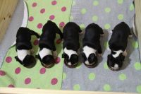 faelle bebes5 22th